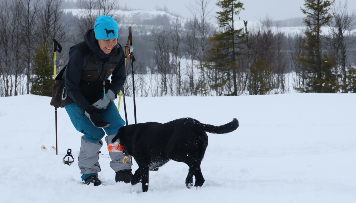 Åre-entreprenör Startar Nytt Hundföretag Åre-entreprenör Startar Nytt Hundföretag