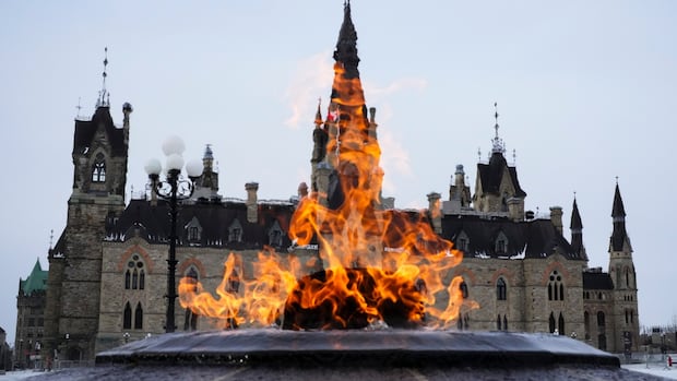 Canadian Public Inquiry Finds No Evidence Of Parliamentary Conspiracy With Foreign States Canadian Public Inquiry Finds No Evidence Of Parliamentary Conspiracy With Foreign States
