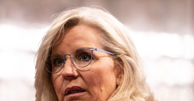 Cheney Slams Musk: Accusation Of Xenophobia Sparks Political Firestorm Cheney Slams Musk: Accusation Of Xenophobia Sparks Political Firestorm