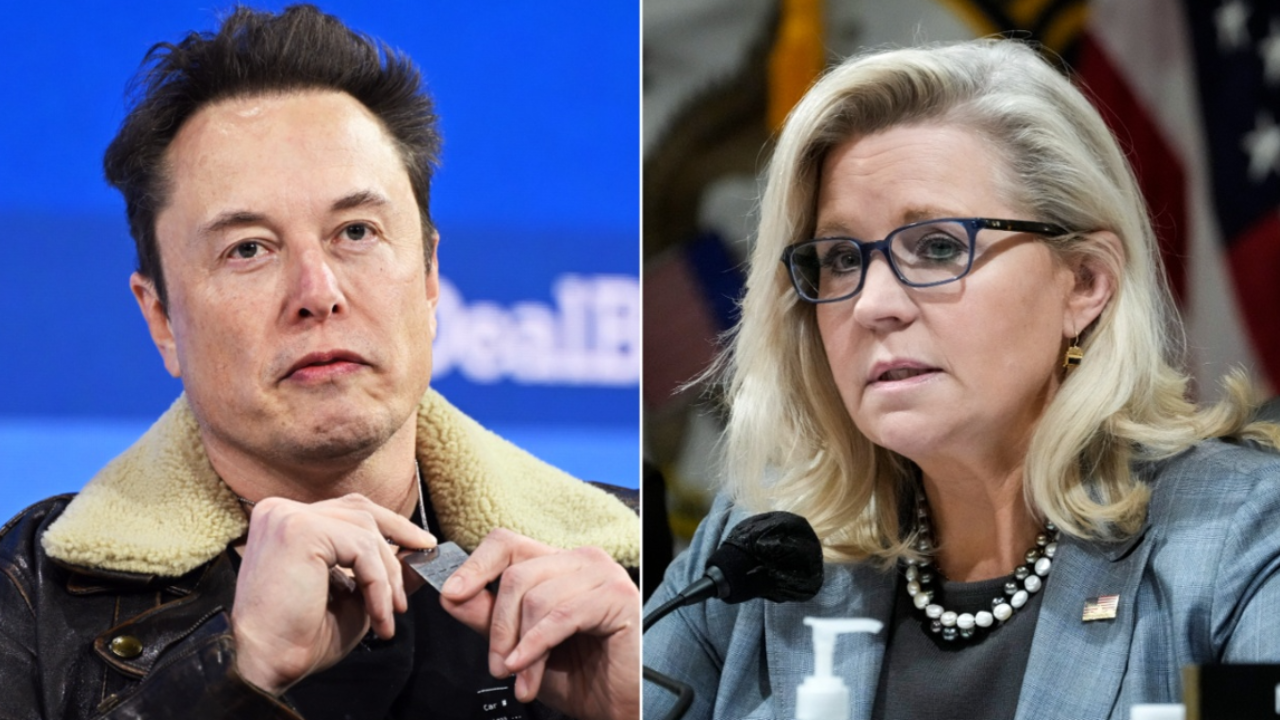 Liz Cheney's USAID Past Under Fire After Musk Twitter Tirade Liz Cheney's USAID Past Under Fire After Musk Twitter Tirade