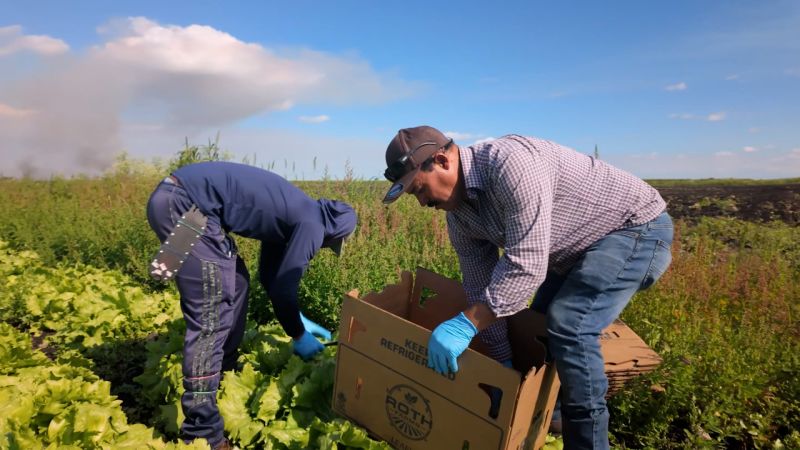 Migrant Workers' Housing Near Mar-a-Lago: A CNN Investigation Migrant Workers' Housing Near Mar-a-Lago: A CNN Investigation
