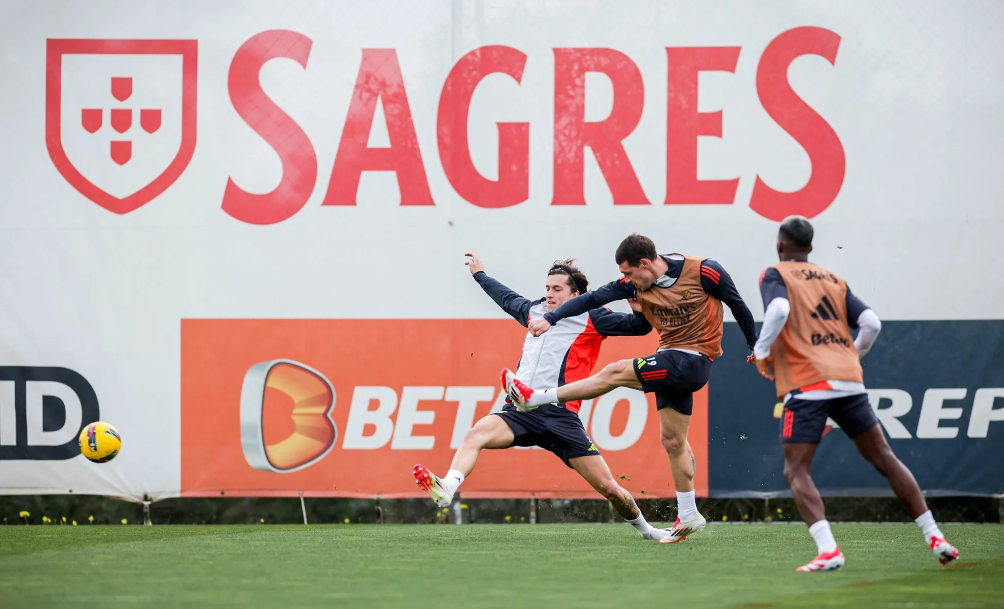 Moreirense X Benfica: Guia Completo De Onde Assistir À Partida Moreirense X Benfica: Guia Completo De Onde Assistir À Partida