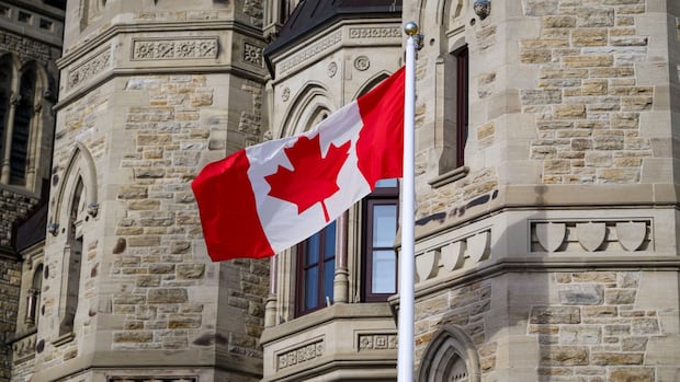 Trump's Tariffs Boost Canadian National Pride: Poll Data Trump's Tariffs Boost Canadian National Pride: Poll Data